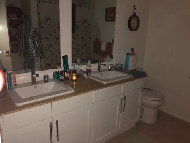 Room for Rent Image# 1