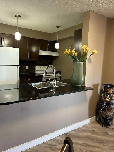 2 bedroom condo in Saddleridge Image# 1