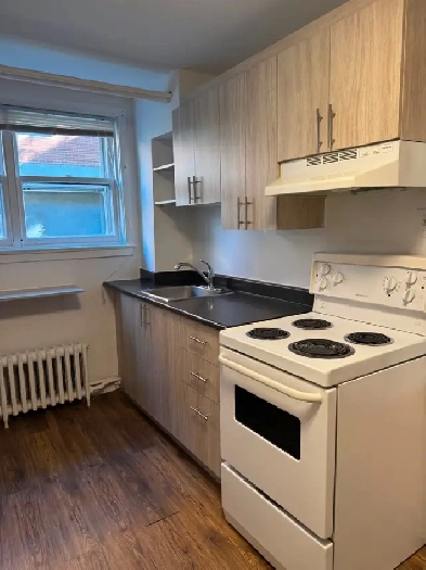 GRAND 3 1/2 À LOUER, CÔTE-DES-NEIGES, UdeM, 1er NOVEMBRE Image# 1