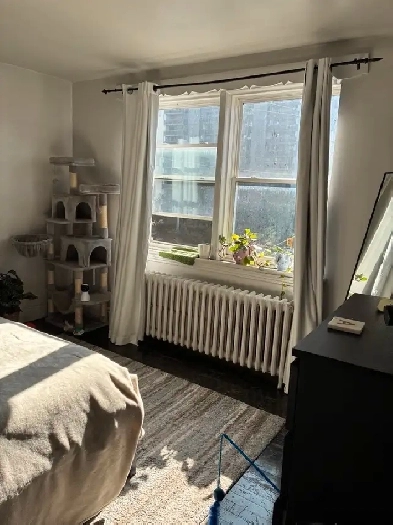 Very nice and bright 1-bedroom unit- downtown location! Dec 1st! Image# 6