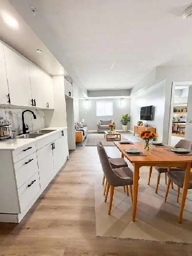 Brand New One Bedroom Available Now & November Minnow Lake Image# 4