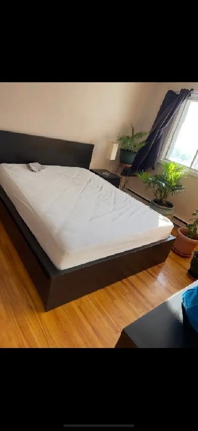 GRANDE CHAMBRE AVEC BALCON PRIVÉ À LOUER Image# 5