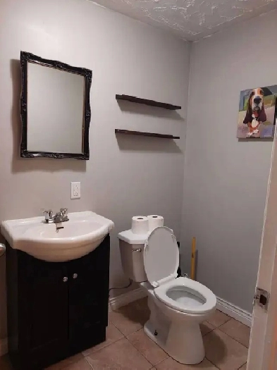 2 Bedroom, Basement Apartment for rent, Beaver Bank, NS Image# 1