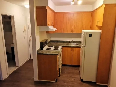 Beau 3 ½ /LIBRE en face du Métro Laurier Image# 1