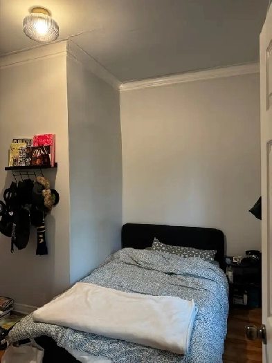 Recherche d'un.e colocataire / Looking for a roommate ! Image# 5