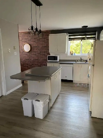 Grand appartement 4 1/2 à louer Image# 1