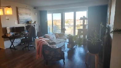 2 Bedroom 2 Bathroom Lease Takeover, December 1st Image# 1