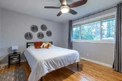 Fully Furnished 2 Bed 1 Bath Home w/ Huge Yard Image# 1