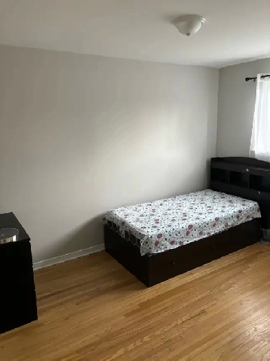 Available 1 room for rent in Brampton Image# 1