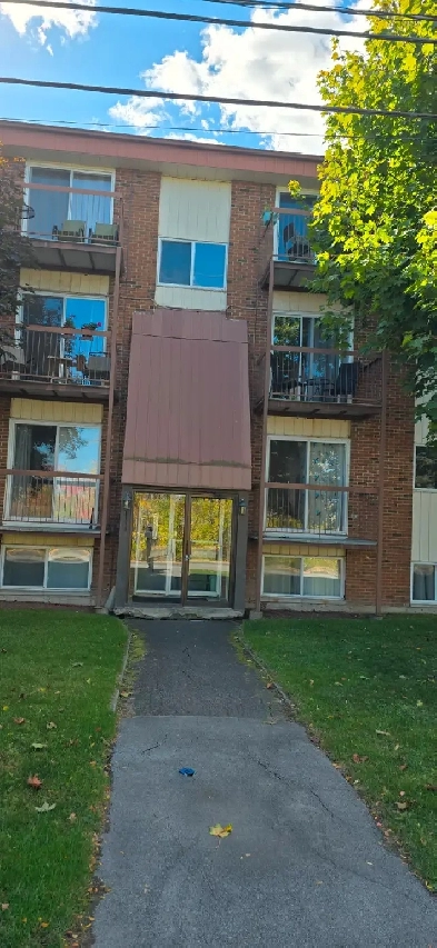 Ste-Catherine: Très beau 4 1/2 rénové 1300$, Image# 2