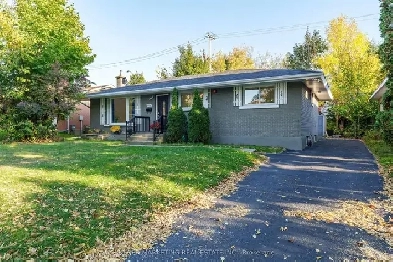 Investor Opportunity Knocks! Image# 1