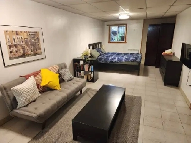 1100$ Studio Métro Fabre Ligne Bleue Image# 1