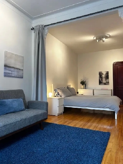 Grand 4 1/2 au coeur du Plateau Image# 1