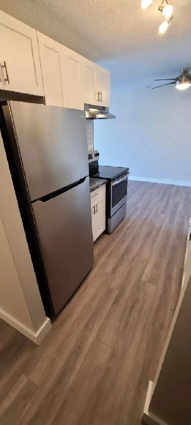 1 BEDROOM APARTMENT- QUIET BUILDING - PET FRIENDLY Image# 2