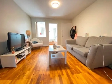 2 x Grand 3 1/2 disponible bientôt - Métro Rosemont Image# 1