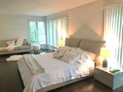 Magnifique penthouse moderne et lumineux à louer Rosemont Image# 1