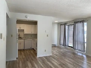 Large 2 bedroom for rent at Woodstock Road call 5062928084 Image# 2