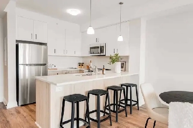 Modern and Bright 1 bed in North London Image# 8