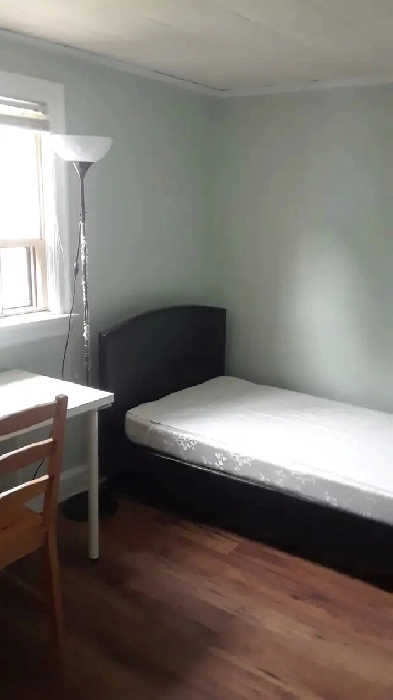 Whole house for rent include basement Image# 1