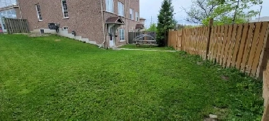 One bedroom Walkout Apartment For Rent - Neilson Rd. & Finch Ave Image# 6