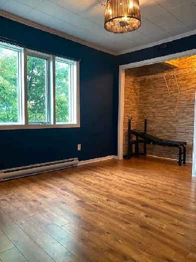 Cozy Semi-Furnished (All-appliances Included) 4 1/2 Apartment Image# 1