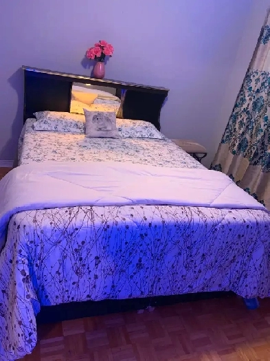 Private room available for rent in Brampton Image# 6
