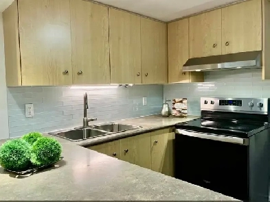 ★ Modern Home (Laundry. Patio. Fireplace) (Etobicoke)★ Image# 13