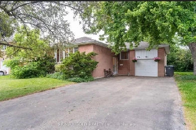 house for rent Image# 4