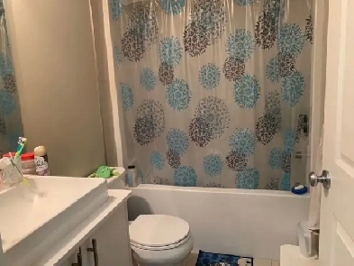 ONE BEDROOM BASEMENT FOR RENT IN SETON Image# 1