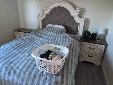 3 room for rent South side Royal garden Image# 5