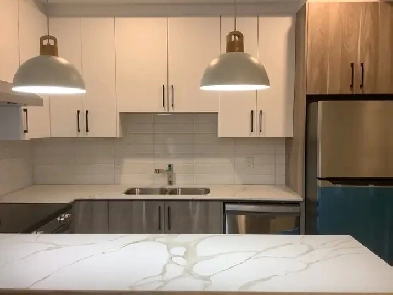 New basement suite for rent Image# 3