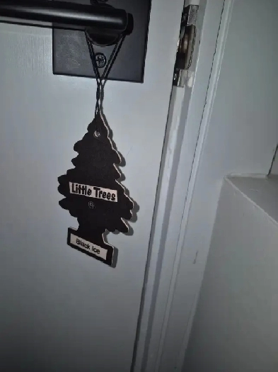 Basement for rent Image# 11