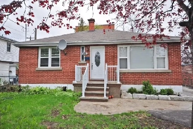 Spacious 2 Bedroom Apartment in Queen Kennedy area Image# 3