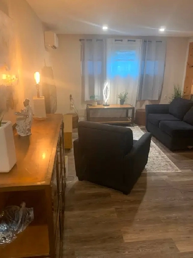 Fully furnished 2 bedrooms apartment for rent. Image# 1