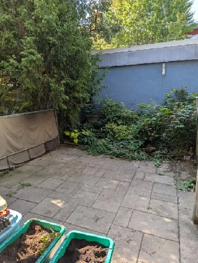 3 1/2 rez-de-chaussée libre Image# 2