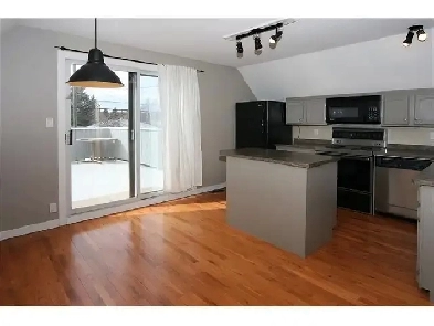 3 Bedroom Inner City House - Dog Friendly Image# 4