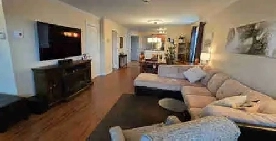 Condo à louer grand 4 1/2 Image# 1