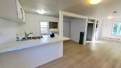 One Fully renovated Bachelor and also One 2 Bedroom apartment Image# 2