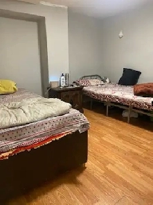 Room for rent in Basement Brampton Image# 1