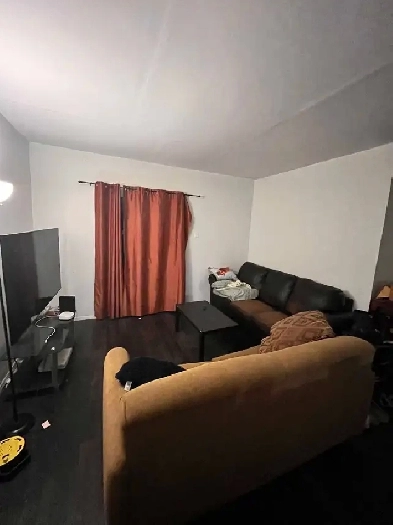 campbellford 2 br apt in adult building Image# 2