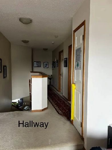 Detached 4 bedrooms 3.5 bedrooms for rent in NW Calgar Image# 1