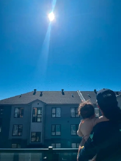 Cession de bail 4 1/2 Image# 1