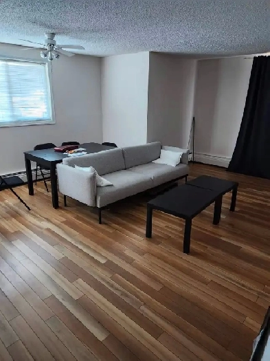 1 Bed 1.5 Baths Apartment Image# 1