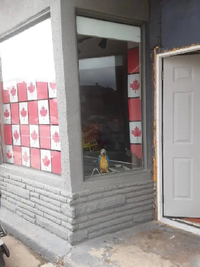 Studio Space for Rent Image# 1