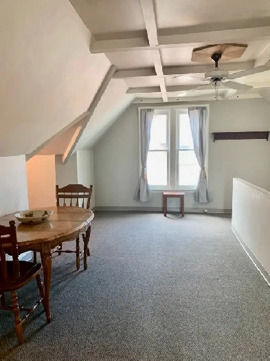 1 Bedroom plus Den Attic Apartment. Image# 9