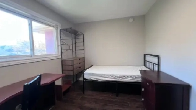 Private Room for Rent – Mississauga city center near Square One Image# 1