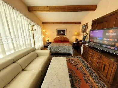 Avail Now! Large Lotus Room Near York Univ, Humber College, YYZ Image# 1