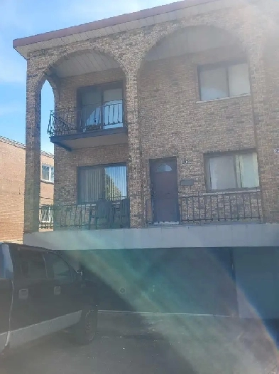 freshly renovated lower duplex Image# 1