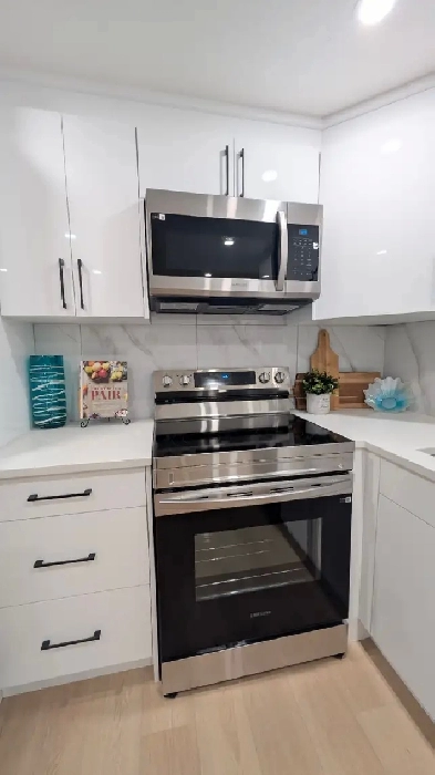 Brand New Modern  1 bedroom Basement suite Image# 14