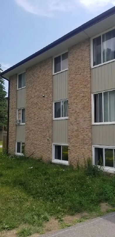 2 bedroom basement apartment Image# 1